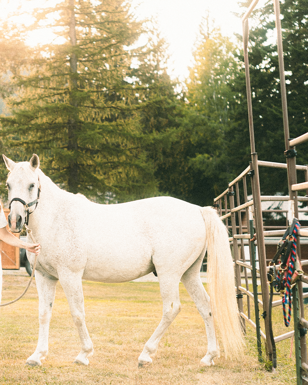 Creative Editorial Portraits with Horses on a Private Ranch in Montana — photograph 7 of 20